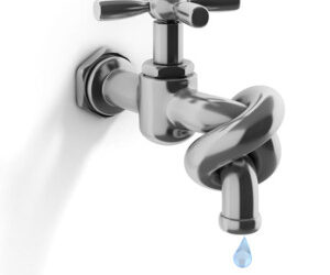 Minimizing Water Usage in your Kitchen and Bath