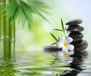 Spa Bathrooms for the Practical Mind