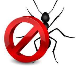 Simple and Savvy Methods to Keep your Home Pest Free
