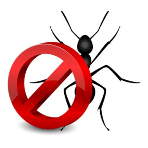 Simple and Savvy Methods to Keep your Home Pest Free