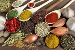 What is a Spice Kitchen?